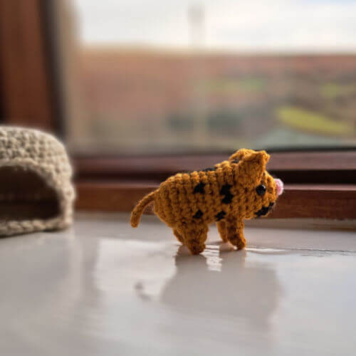 A cute little spotted piglet crochet figure standing on a window sill looking out of the window