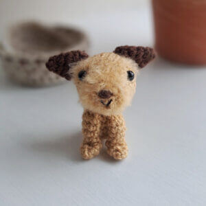 The cutest little brown border terrier gift, she has dark brown ears, a tan body and a fluffy face.