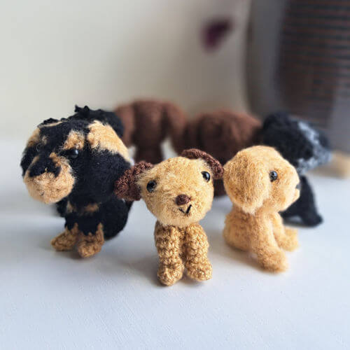 A set of dog figurines sitting in a circle on a window sill, the bordreur terrier and miniature wire-haired dachshund are at the front here