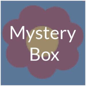 Mystery Box - A Surprise Figure from The Sale Section, One Figure Supplied